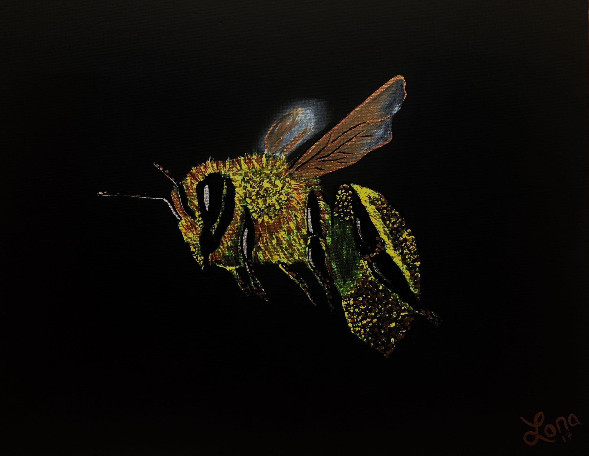 Honey Bee in Back Blackground