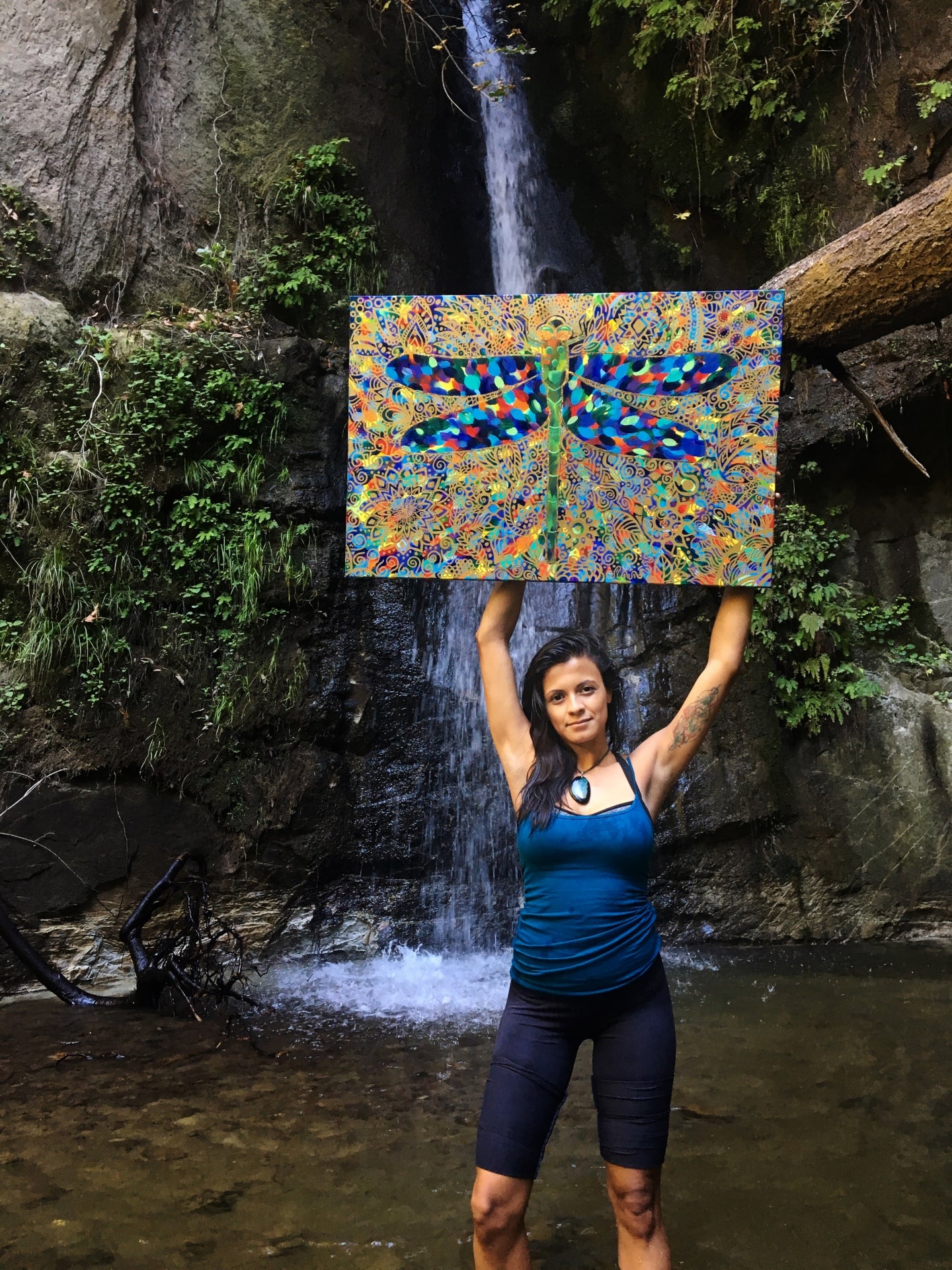 Holding dragonfly painting in front of waterfall