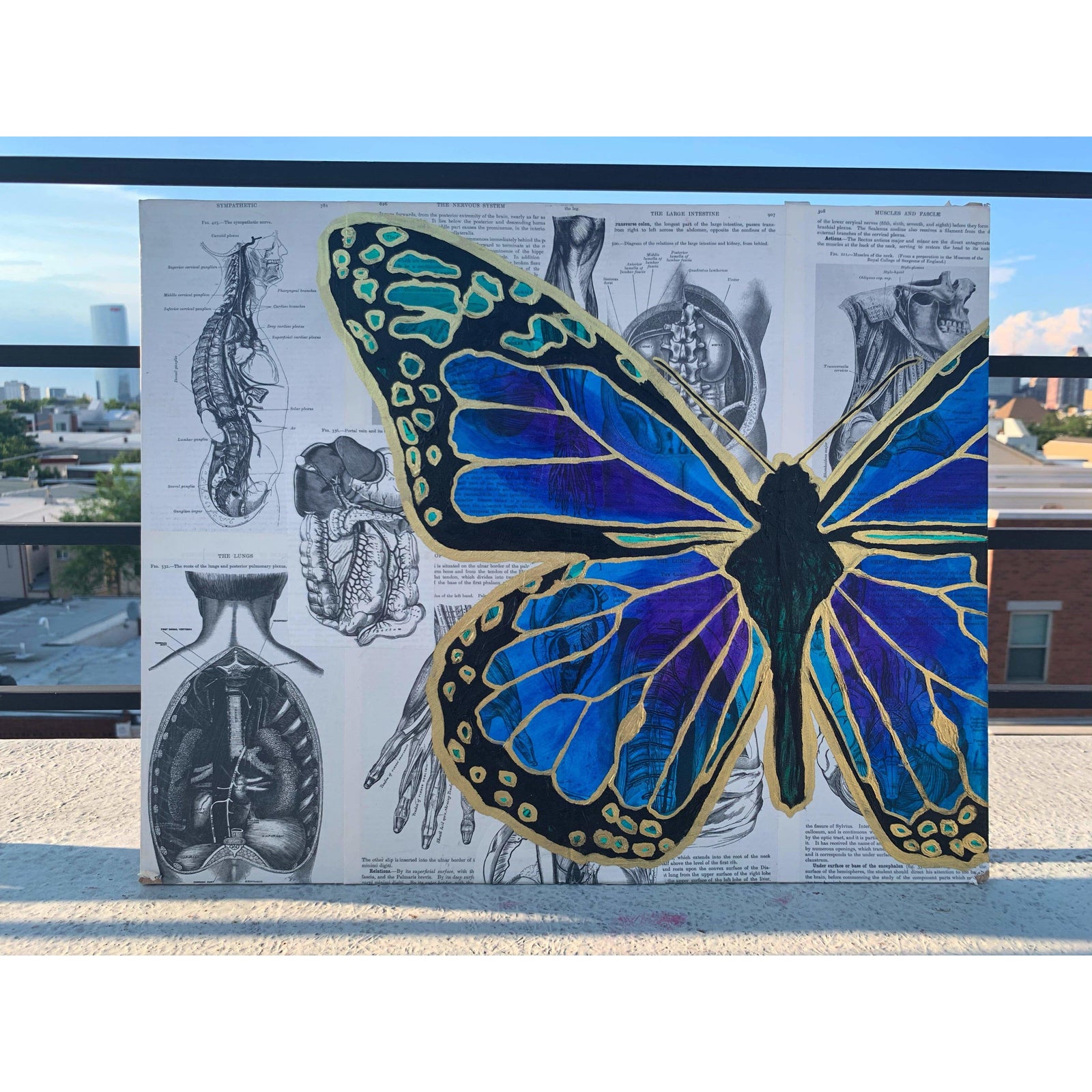 Transformation Wing Study